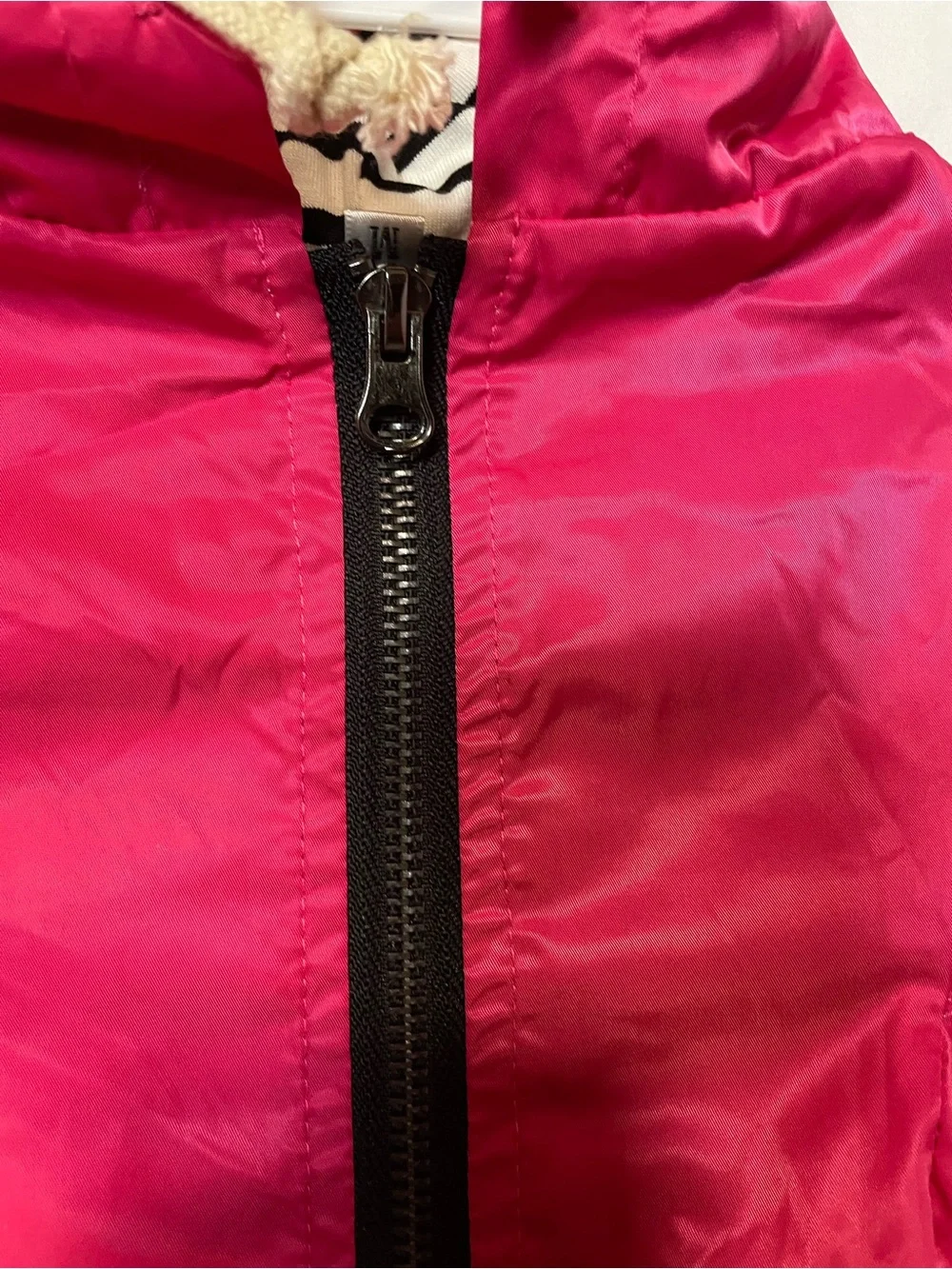 Hot Pink Hooded Dog Jacket with Striped Lining
